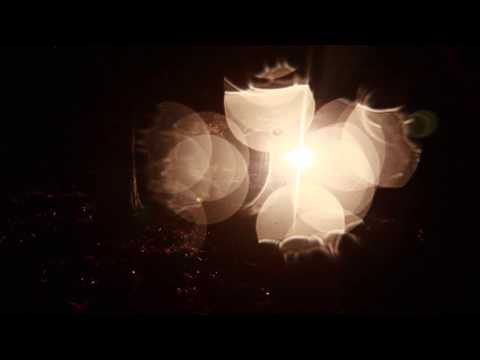 Dmitri Ouvaroff - Luca Francesconi. Tracce