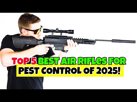 Top 5 Best Air Rifles for Pest Control Of 2025 🔥 Quiet, Powerful & Affordable!