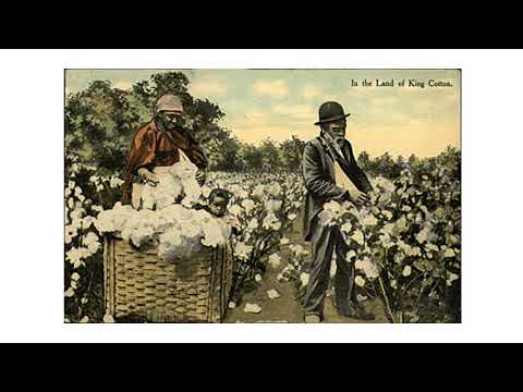 US History 055 King Cotton