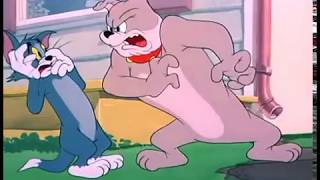 Tom and Jerry - Anjing yang Sudah Dimandikan Bersih(Slicked up Pup, bahasa indonesia sub)