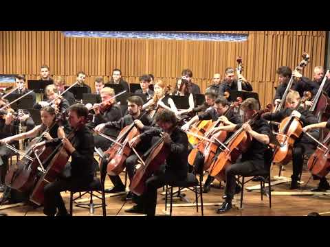 Antonín Dvořák - Holoubek. Symfonický orchestr Pražské konzervatoře 24.1