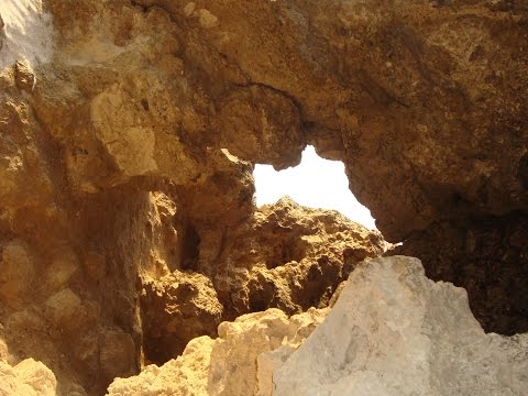 Шкуродёр в пещере Братьев Греве