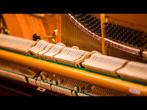 Anat Cohen 'Child's Song' | Live Studio Session