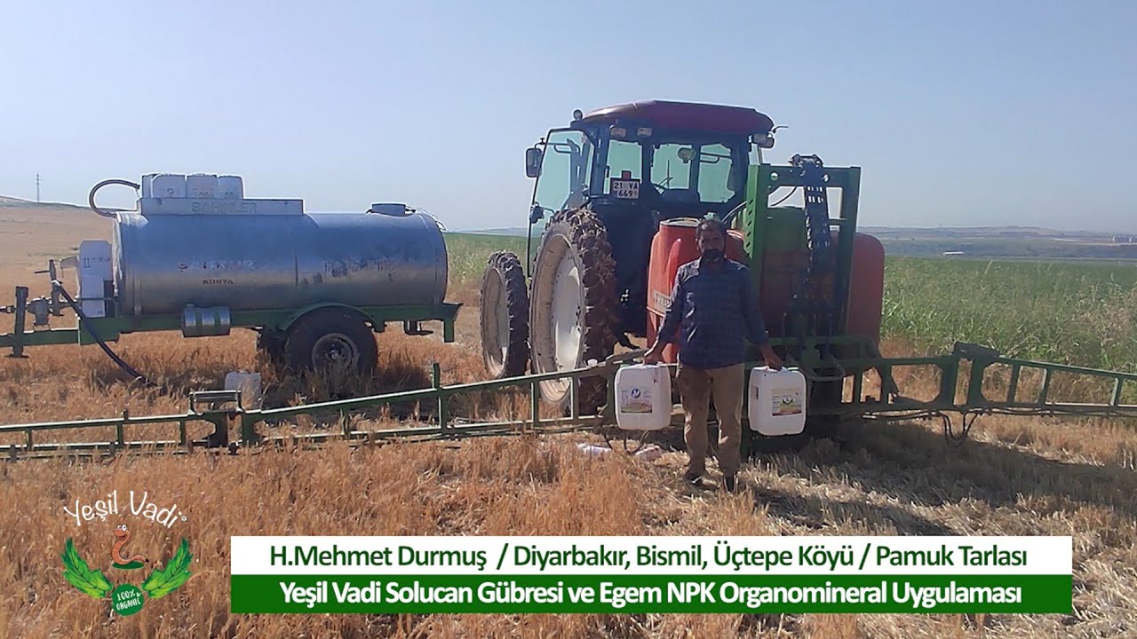 Diyarbakır, Bismil - Pamuk Tarlasında Yeşil Vadi Solucan Gübresi ve NPK Organomineral Uygulaması.