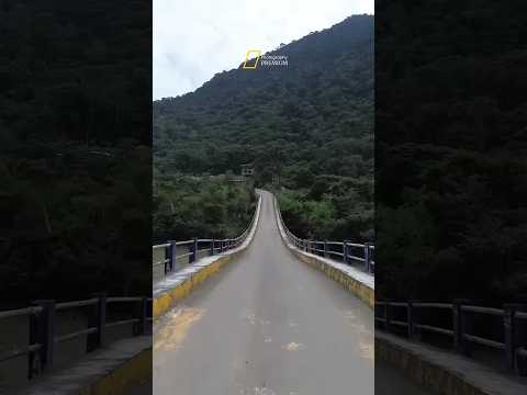 #Cultura | Patrimonio Cultural el punte de la saquea en Zamora Chimchipe Ecuador