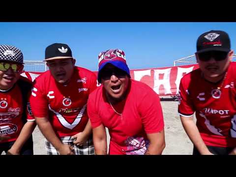 "Tiburones Rojos - Escualo De Corazón Â® - Athor El Trueno (LBDEC)" Barra: Barra 47 • Club: Tiburones Rojos de Veracruz