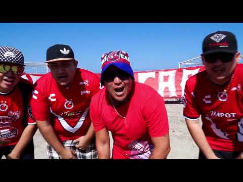 "Tiburones Rojos - Escualo De Corazón Â® - Athor El Trueno (LBDEC)" Barra: Barra 47 &bull; Club: Tiburones Rojos de Veracruz