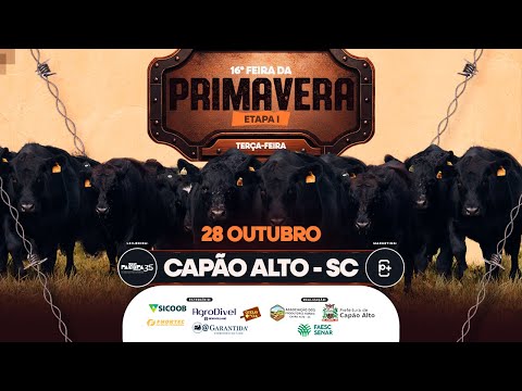 16° Feira da Primavera - Etapa I, CAPÃO ALTO/SC - 28/10/2025 19:00h