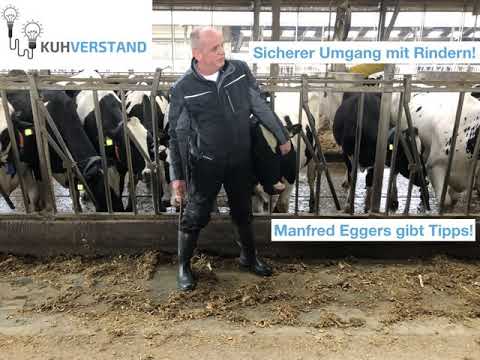 056 Sicherer Umgang mit Rindern