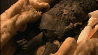National Geographic Explorer: King Tut's Final Secrets (2005) Video