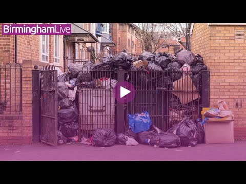 Birmingham bin strikes spark chaos as rats ‘size of cats’ roam streets