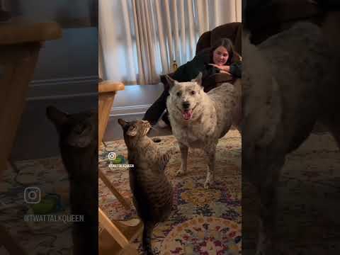 I’ll mess with ya if I want