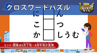 クロスワードパズル 全10問 面白いひらがな穴埋め問題を紹介 高齢者向け 24 موقع ويب حيث يمكنك مشاهدة مقاطع فيديو موسيقية مجانية クロスワードパズル 全10問 面白いひらがな穴埋め問題を紹介 高齢者向け 24 موقع ويب حيث يمكنك مشاهدة مقاطع فيديو موسيقية مجانية
