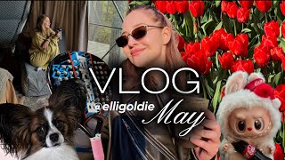 VlOG| Май: лабубу, II место в Padel, шоппинг в спб, Карелия, нарастила волосы, тюльпаны и парфюм🤍