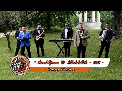 Cornel Cojocaru & Mita de la Bals - Uneori gandul ma poarta