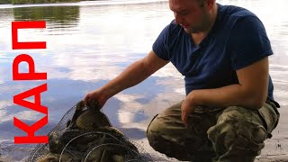 Платная рыбалка шатурский рыбхоз