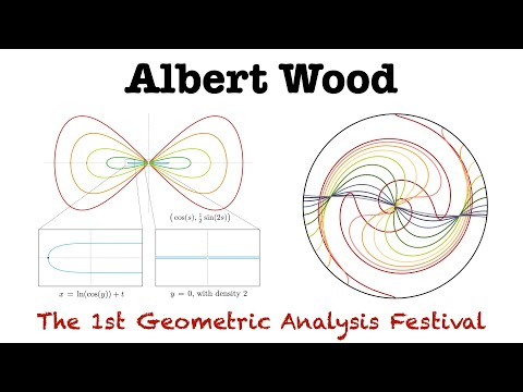 [1st GAF] Albert Wood 01 Singularities of Lagrangian Mean Curvature Flow