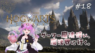 【ホグワーツ・レガシー】ゲーマー魔法使い、魔法界に行く。#18