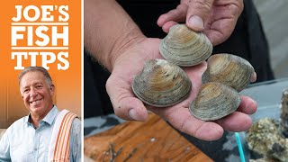 How to Shuck a Clam