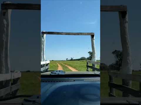 Anaurilândia MS 2020 #matogrossodosul #ferias #viagem