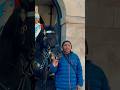 HORSE TELLS MAN TO GO AWAY! | Horse Guards, Royal guard, Kings Guard, Horse, London, 2024