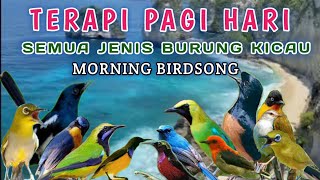 Download lagu TERAPI BURUNG PAGI HARI DAN MALAM HARI, Nature sounds with birds, Tropical birds sounds mp3 Download lagu TERAPI BURUNG PAGI HARI DAN MALAM HARI, Nature sounds with birds, Tropical birds sounds mp3