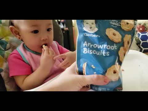 Gerber Snacks For Toddlers - Animal Crackers Cinnamon Graham and Arrowroot Biscuits - Imported