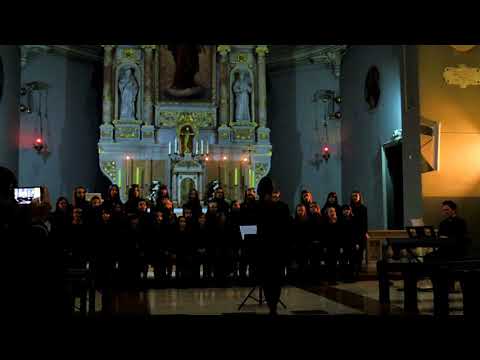 [Schubertine] Palmoticeva 9. 10. 2017.