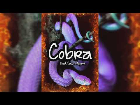 [FREE] Some Random UK Drill Beat|909, Grime 808 Type Beat 2022 - ,,COBRA'' (Prod. Dave x Ayumi)