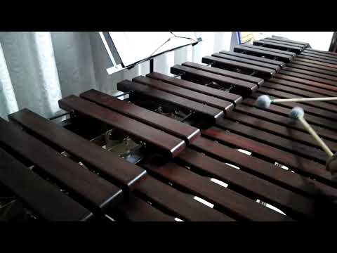 Inni di lode N°517: Bevo alla fonte Marimba Cover