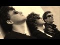The Icicle Works － Truck Driver's Lament