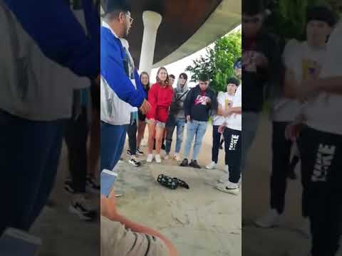 Nice chisme Vs Sixto | Couf battles