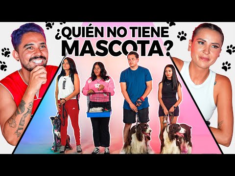 ADIVINA QUIÉN NO TIENE MASCOTA O PIERDE DINERO