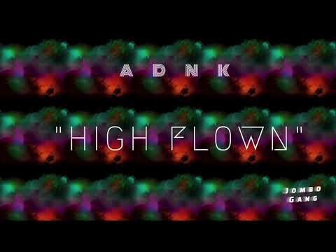 Bizz x OSTER - HIGH FLOWN (AUDIO RELEASE)