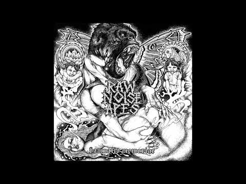 RAW NOISE APES "Damnatio Memoriae" Full LP