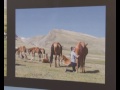 Izložba slika Kirgistana u centru Zrenjanina „Kumis tunduk i širdak“