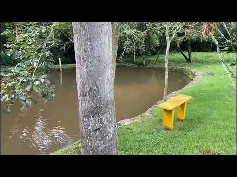 Chácara em Itapeva - MG --- Chalé Imóveis