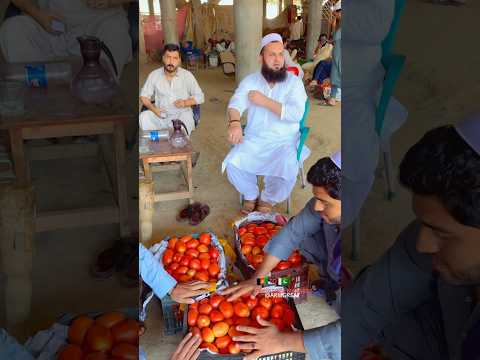 @ARMGREAT IMPORT EXPORT FROM 🇦🇫 TO 🇵🇰 HAJI ABDUL KARIM & COMPANY MARDAN 0305703230 ‼️ FORyou !@£