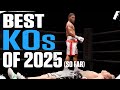 THE BEST KNOCKOUTS OF 2025 So Far
