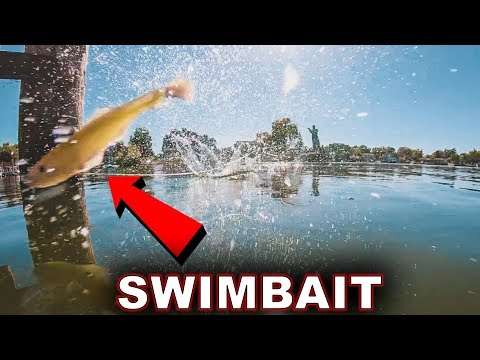 How To Skip Under Docks & Trees