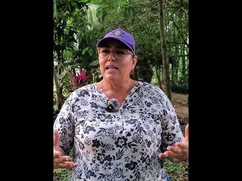 2026 03 06 LA ISLA UN LUGAR CON AMBIENTE NATURAL FRENTE AL RIO DE GUADUAS.