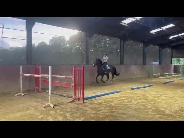 Under the saddle