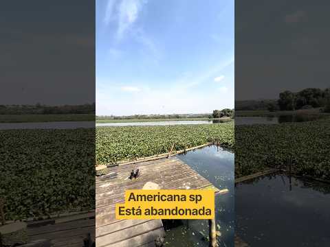 Represa salto grande em americana sp está abandonada 😓🎣 #fishing #pesca #viral