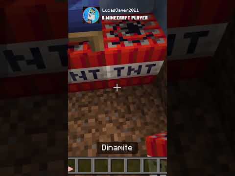 Minecraft Short: Did you do this?