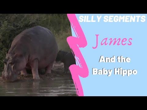 James and the baby hippo