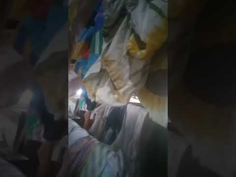 pedagang barang bekas.