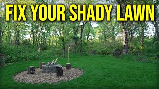 How To Fix A Shady Lawn // Moss Removal, Aerate and Overseed, Best Grass Seed For Shade