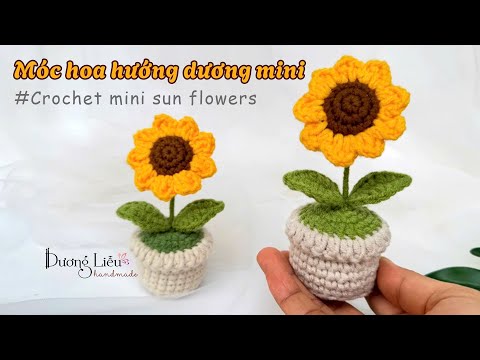 Chậu hoa hướng dương mini