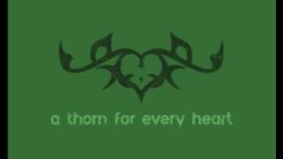 A Thorn for Every heart- A Street Car Named Desire