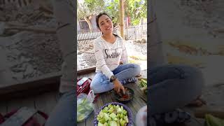 Download lagu Cewek Rujak Buah mp3